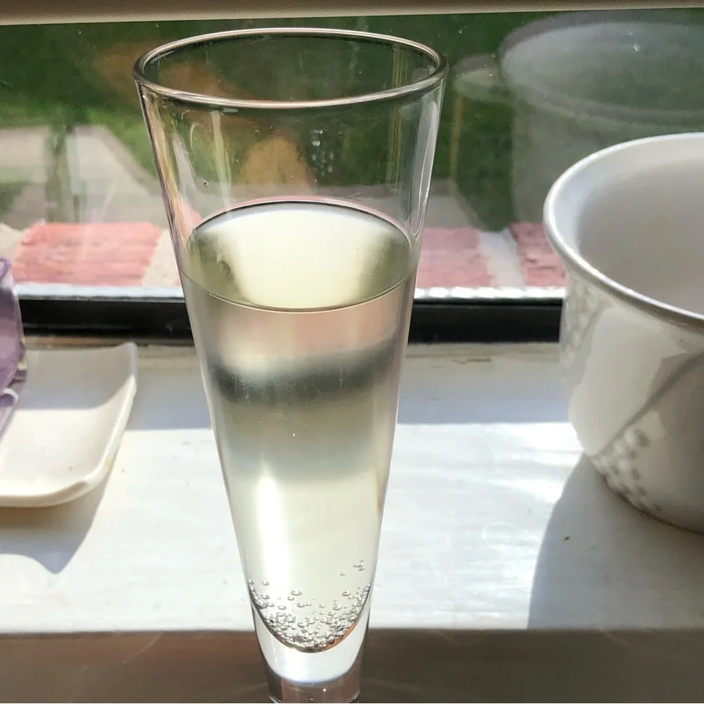 1 Z Gallerie Champagne Frosted Waves Stem Glass